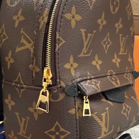 Louis Vuitton Palm Springs Mini Backpack - Picture 6 of 10